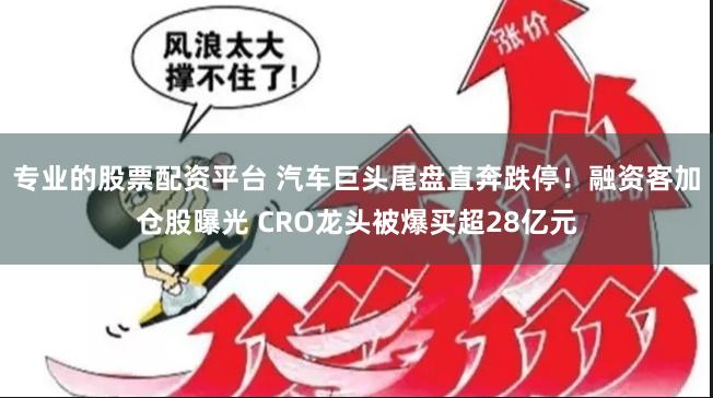 专业的股票配资平台 汽车巨头尾盘直奔跌停！融资客加仓股曝光 CRO龙头被爆买超28亿元