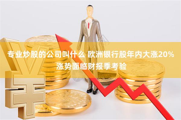 专业炒股的公司叫什么 欧洲银行股年内大涨20% 涨势面临财报季考验