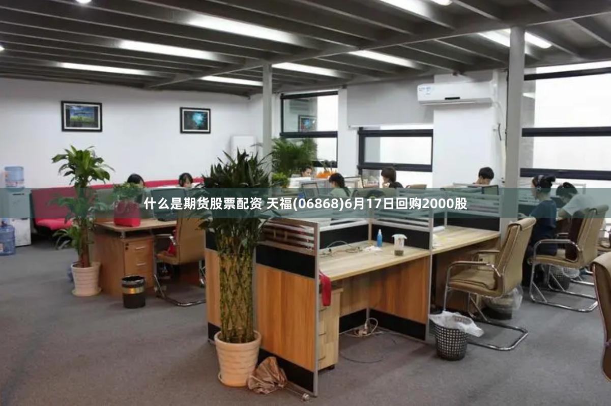 什么是期货股票配资 天福(06868)6月17日回购2000股