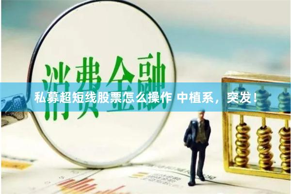 私募超短线股票怎么操作 中植系，突发！