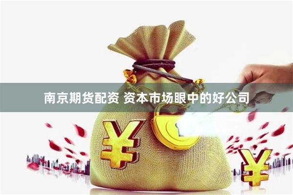 南京期货配资 资本市场眼中的好公司