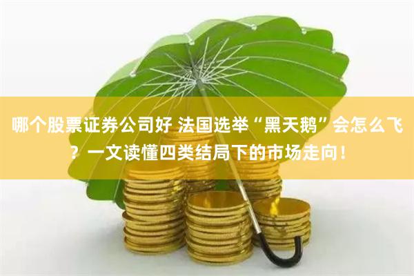 哪个股票证券公司好 法国选举“黑天鹅”会怎么飞？一文读懂四类结局下的市场走向！
