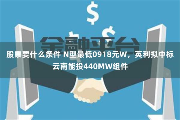 股票要什么条件 N型最低0918元W，英利拟中标云南能投440MW组件