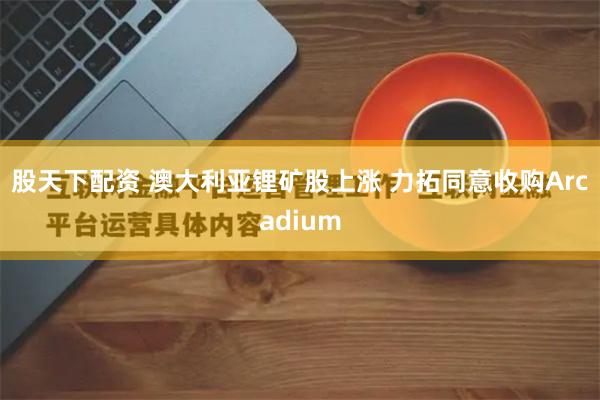 股天下配资 澳大利亚锂矿股上涨 力拓同意收购Arcadium