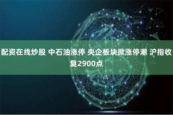 配资在线炒股 中石油涨停 央企板块掀涨停潮 沪指收复2900点