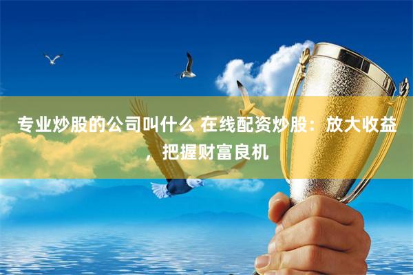 专业炒股的公司叫什么 在线配资炒股：放大收益，把握财富良机