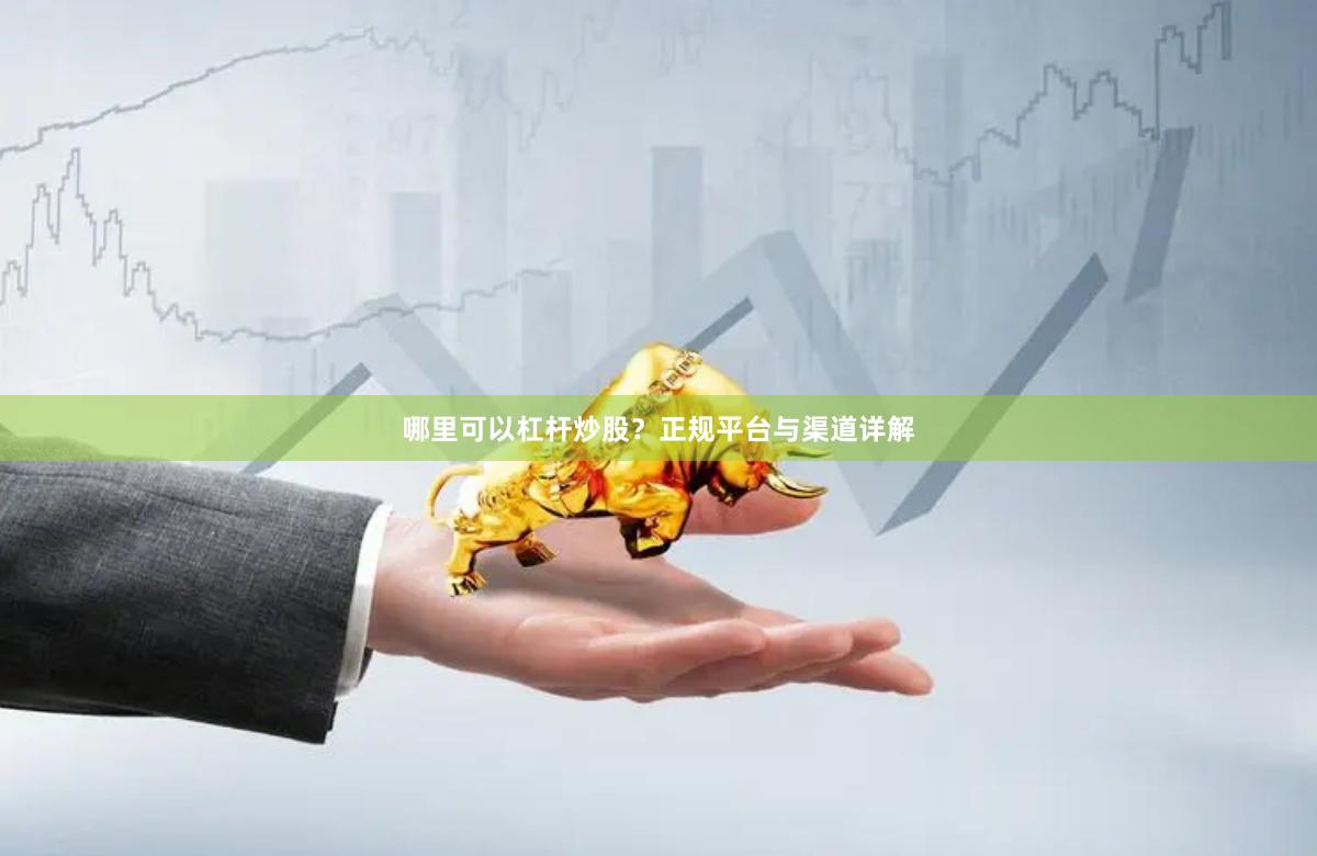 哪里可以杠杆炒股？正规平台与渠道详解