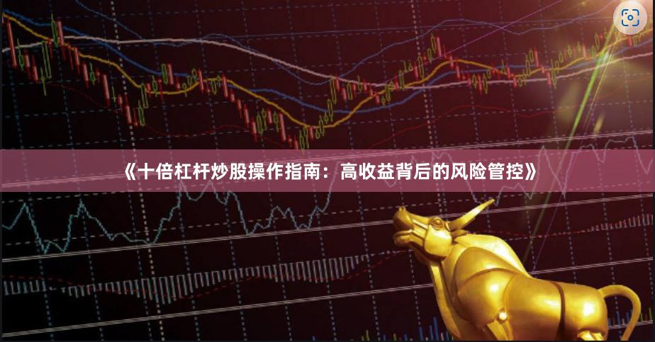 《十倍杠杆炒股操作指南：高收益背后的风险管控》