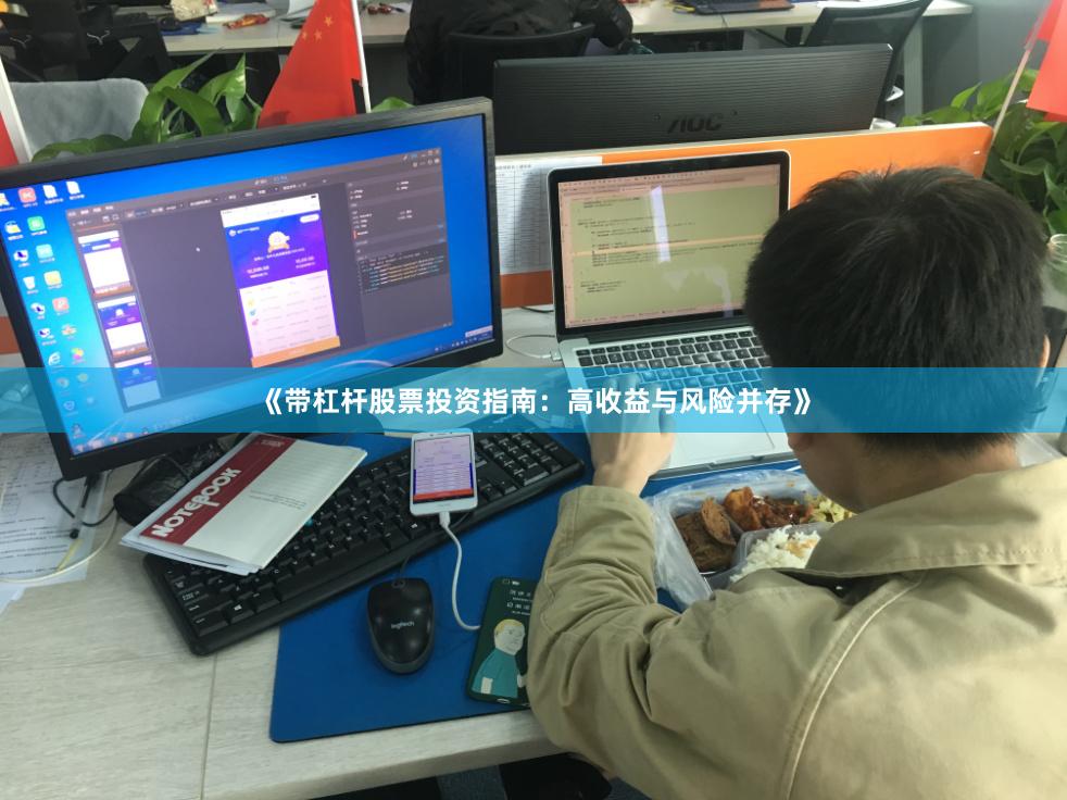 《带杠杆股票投资指南：高收益与风险并存》